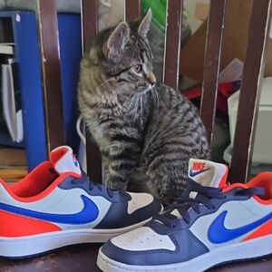 Nike Kids Sneakers - Blue and Orange